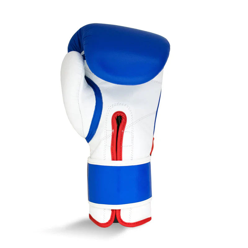 Pro Training G1 Boxing Glove - Blue / Red